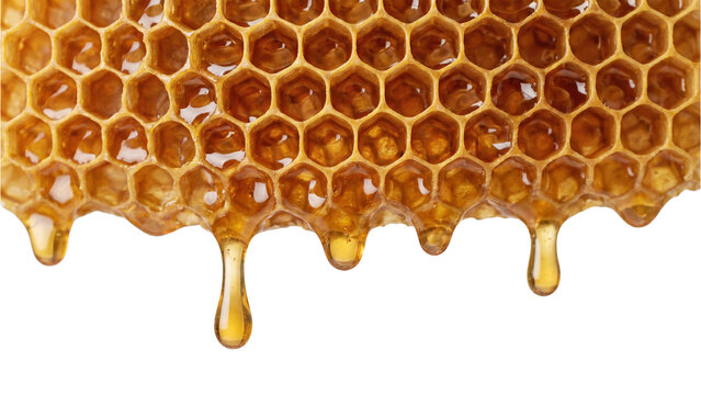 Golden honeycomb with dripping honey isolated PNG, natural sweet food on transparent background for healthy eating and beekeeping concepts