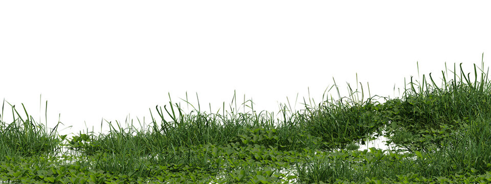3d Render Of Bright Green Grass Blades On Transparent Background Closeup Of Lush Foliage