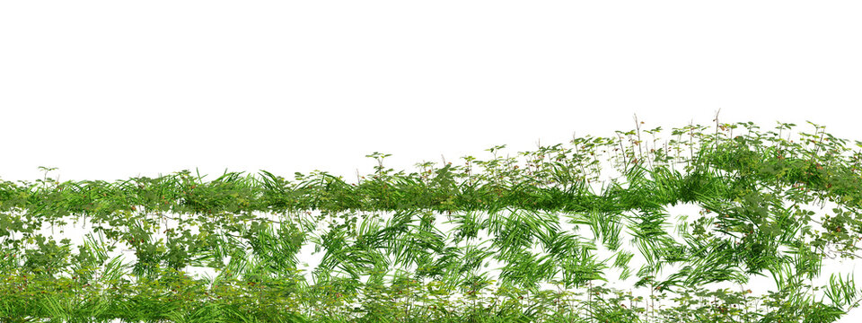 3d Render illustration Of Lush Green Grass Blades And Ground Vegetation On Transparent Background