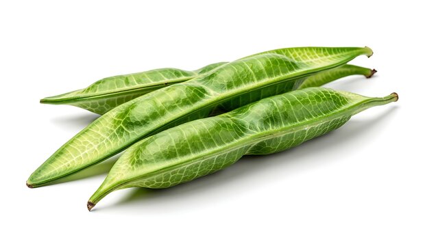 Fresh green raw bitter bean pods isolated on a white background.