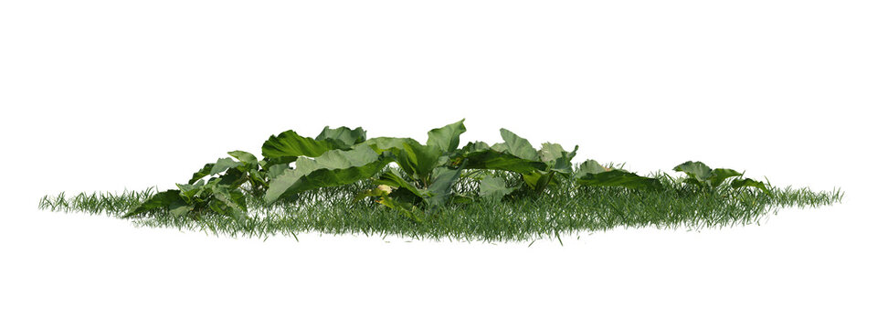 Isolated Green Grass And Leafy Vegetation On Transparent Background, 3D Plant Model With Foliage