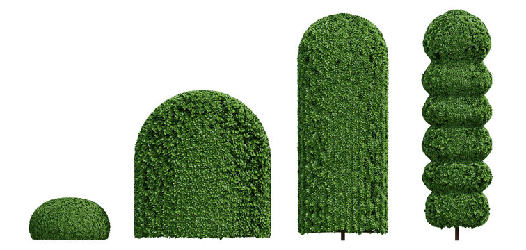 Three Dimensional Render Of 3d Boxwood Green Plant Topiary Plants In Varied Shapes On Transparent Background