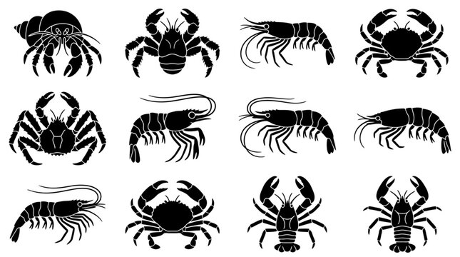 Black silhouettes of various crustaceans side.