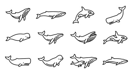 Black and white whale and dolphin drawings. © Bambang