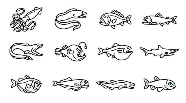 Variety of Fish and Seafood Species.