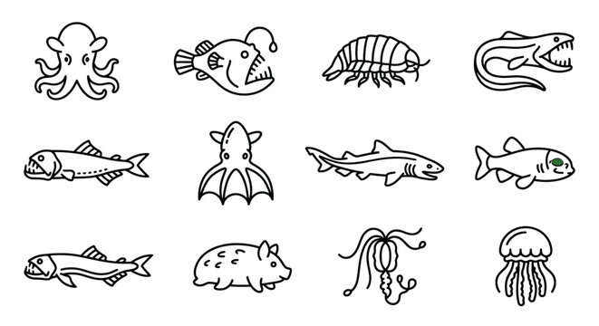 Various sea creatures illustrations 2.