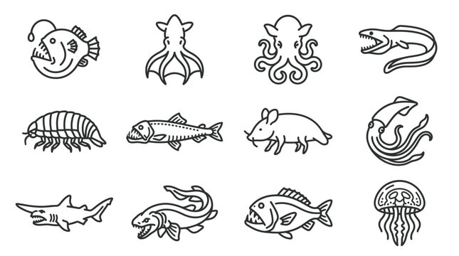 Various Sea Creatures Line Drawings.