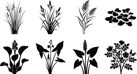 Aquatic plants and wetland vegetation vector silhouette icon set isolated on white background © MstAshida
