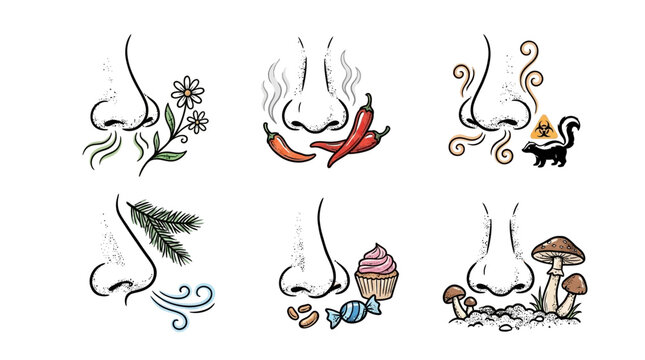 Collection of nose icon set depicting olfactory sensation and aroma, human facial organ for smelling fragrance, scent sign and symbol, minimalist graphic element on white background.