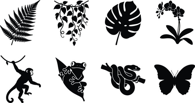 Tropical rainforest silhouettes set featuring monstera leaf, fern, monkey, frog, snake, and butterfly vector illustrations
