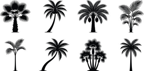Fototapeta premium Black and white palm tree silhouette collection featuring tropical and exotic species variations