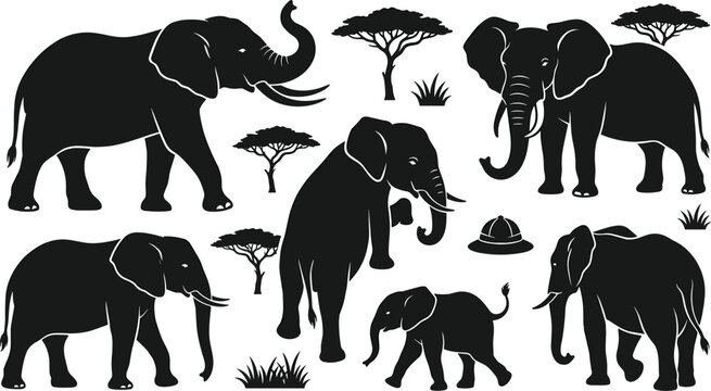 African Elephant Silhouette Vector Set with Walking Adults Baby Calf Acacia Trees Safari Pith Hat and Grass Icons