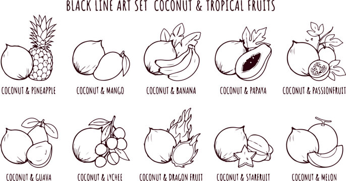 Tropical fruits black line art set pineapple mango banana papaya passionfruit guava lychee dragon fruit starfruit melon.