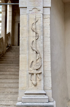 Pilaster with Snake and Sword Design in Palace of the Dukes of Burgundy, Dijon