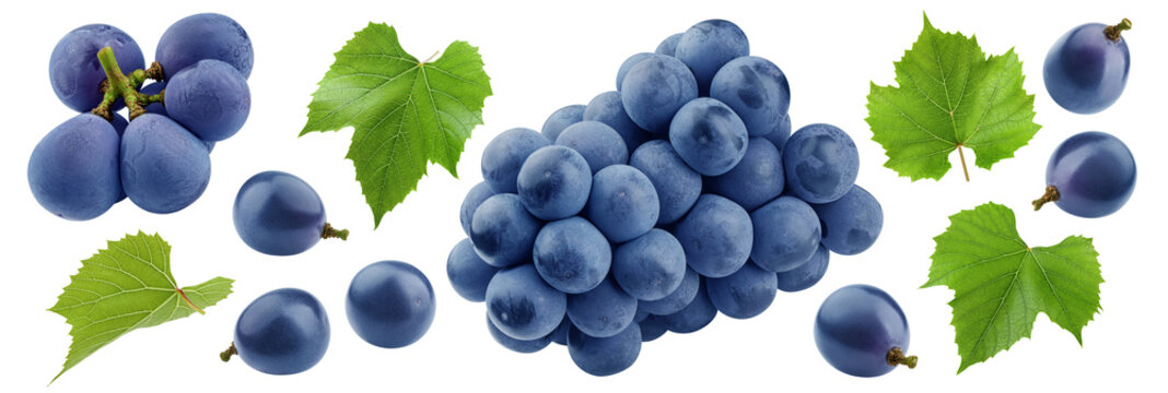 purple or blue Grape, isolated, full depth of field