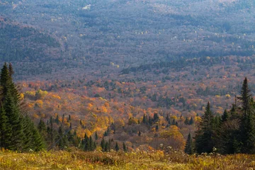 Autumn at Mont-Tremblant, Canada © Anupam