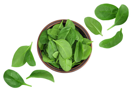 Baby spinach leaves in ceramic bowl isolated on white background. Top view. Flat lay