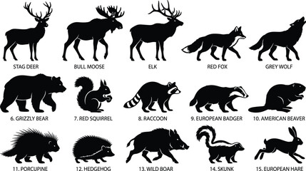 Obraz premium Forest Animals and Wildlife Silhouette Collection