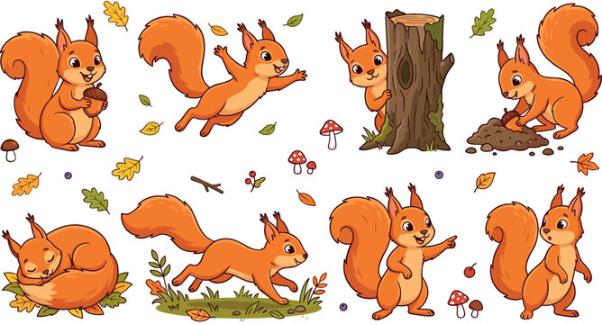 Cute squirrel cartoon character sticker elements set with fluffy rodents holding acorn jumping running sleeping peeking from tree stump and digging soil