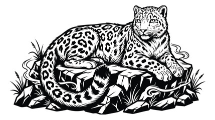 Vintage snow leopard vector illustration, majestic wild cat resting on mountain rocks, black and white leopard line art for wildlife conservation © ishrat