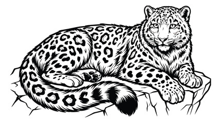 Snow leopard vector illustration, majestic wild cat lying on a rock, black and white feline line art, hand drawn leopard animal sketch © ishrat