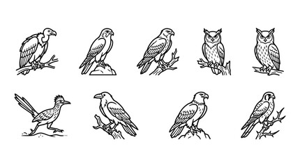 Obraz premium Collection of various bird species.