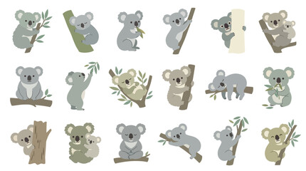 Collection of cute cartoon koalas in various poses on tree branches and eucalyptus leaves, representing Australian wildlife. © Pink