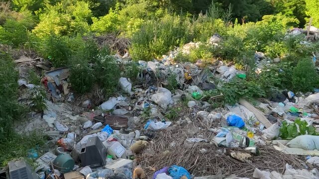 garbage in the forest. natural landfills. garbage in the environment. garbage dump in the forest. garbage on the side of the road