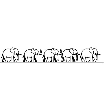 A procession of elephants walking in a line across a stark white background.