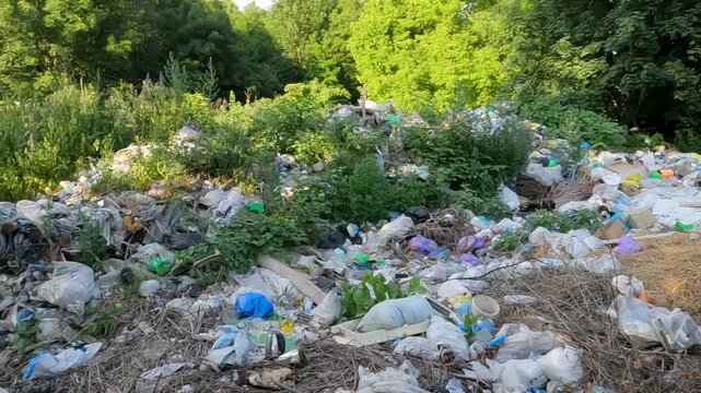 garbage in the forest. natural landfills. garbage in the environment. garbage dump in the forest. garbage on the side of the road