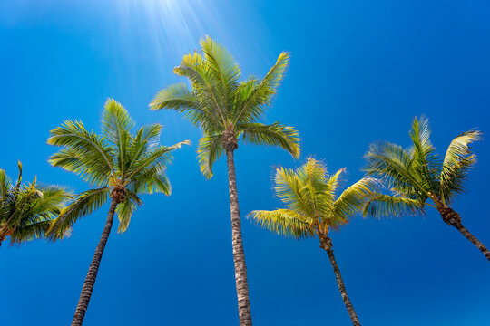 Puerto Naos, La Palma, Canary Islands, Spain
