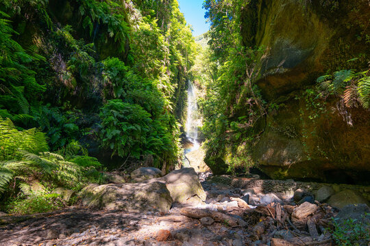 Los Tilos Waterfall, La Palma, Canary Islands, Spain