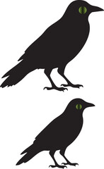 Fototapeta premium Two black birds with green eyes standing side by side