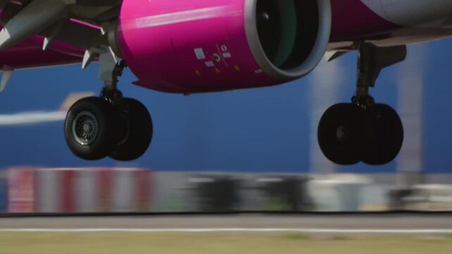 Commercial aircraft with bright magenta fuselage and turbofan engines descending toward runway, shot from below showing landing gear and wing undercarriage