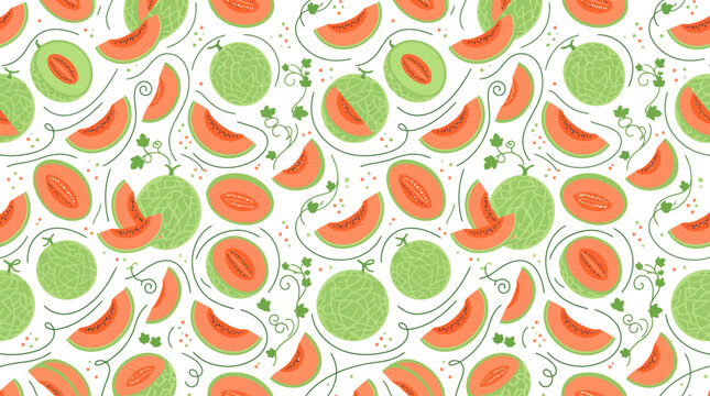 Colorful illustration showing whole green cantaloupes and orange melon slices with curling vines on a white backdrop. Ideal for summer food packaging, kitchen textiles, or wallpaper designs.