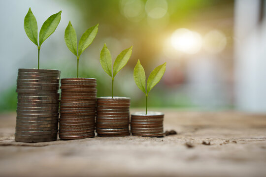 Money Savings Growth and Financial Investment Concept