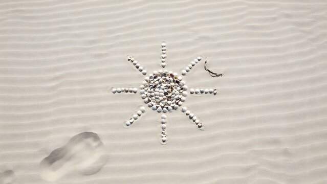 Minimalist seashell sun arrangement with negative space &ndash; Suitable for summer sale banner backgrounds, destination wedding stationery, or web headers.