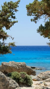 Kedrodasos beach on Crete. Maritime juniper or Cedar juniper trees on the mediterranean sea. Greece