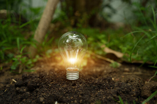 Glowing Light Bulb on Soil for Sustainable Green Energy Concept