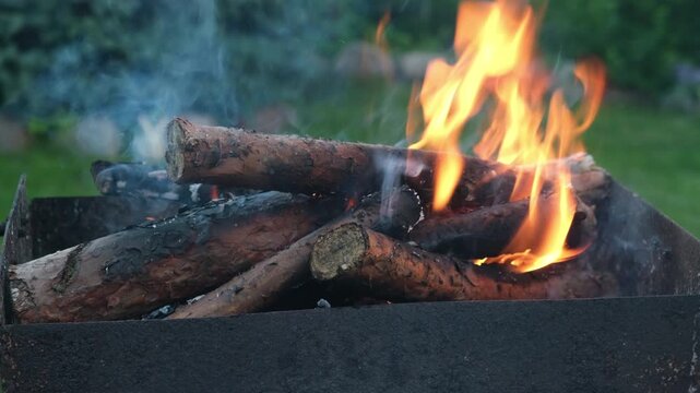 Firewood is burning in barbecue grill.