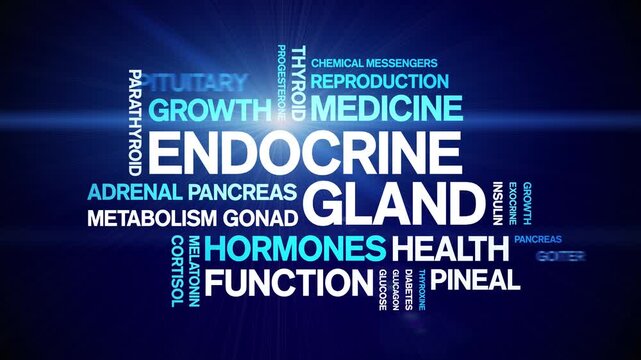 Endocrine Gland animated word cloud-animation tag kinetic typography seamless loop.