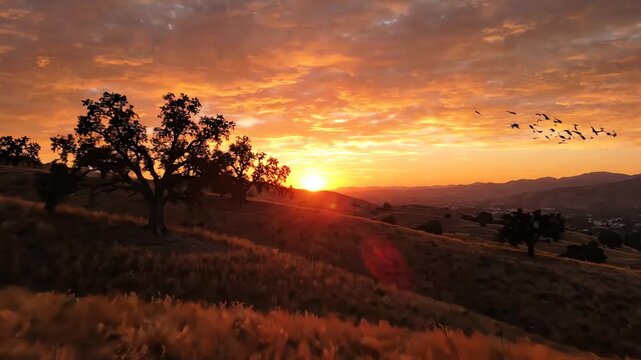 Cinematic landscape of the Dougherty Hills in San Ramon California under a vibrant orange sky at the golden hour of sunset