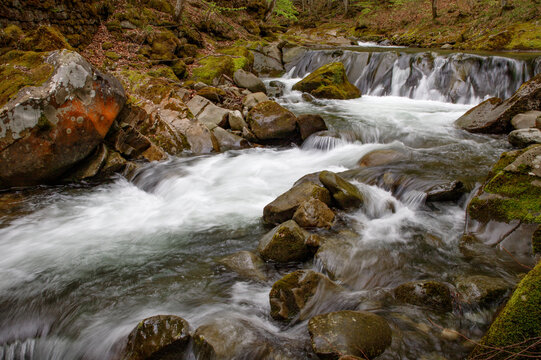 Beautiful mountain river with small waterfalls and rapids flowing over mossy stones in spring