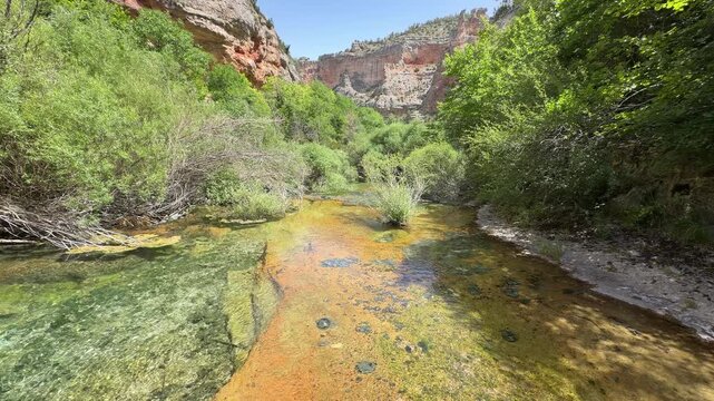 Clear stream flowing through a lush green canyon