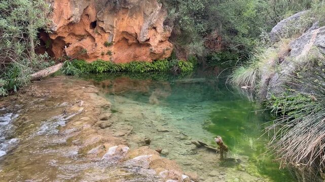 Beautiful turquoise water pond in a mountain forest
