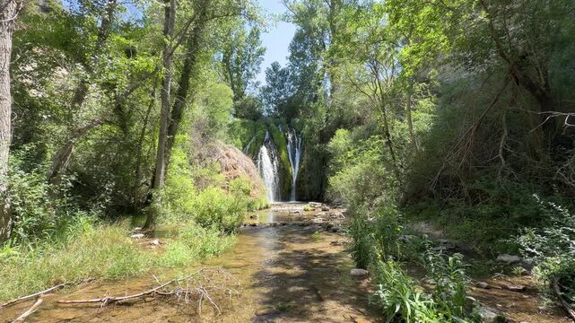 Beautiful waterfall flowing through a lush green forest