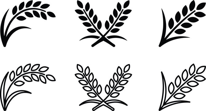 rice icon set with minimalist black grain leaves and crossed stalk vector symbols