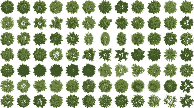 Green Tree Top View Plan Symbols Vector Illustration for Landscape Design, Architectural Site Mapping & Urban Forestry Projects (EPS)