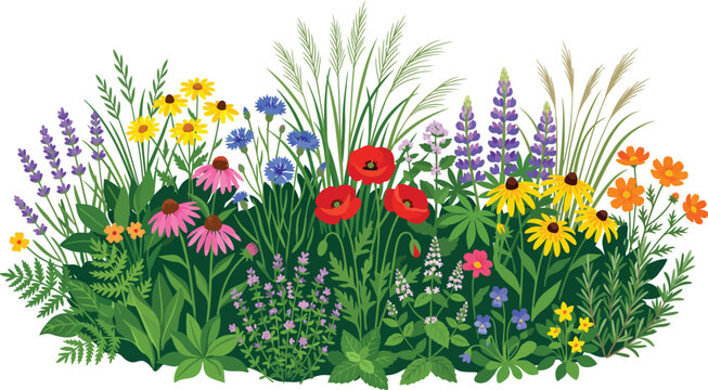 Vibrant botanical garden flower patch illustration colorful wildflowers and foliage isolated vector design for spring themes