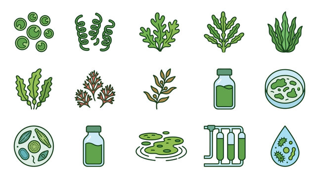Algae Icons Set: Microalgae, Seaweed, Spirulina, Chlorella, Phytoplankton